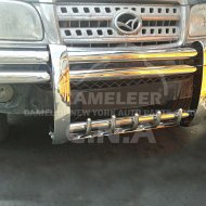 Excellent Stainless Steel Grille Guard A6066 Model